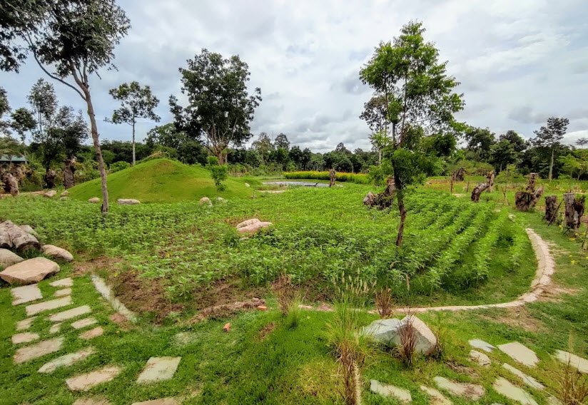 Liaqat Botanical Garden, Peshawar, Pakistan, Pakistan